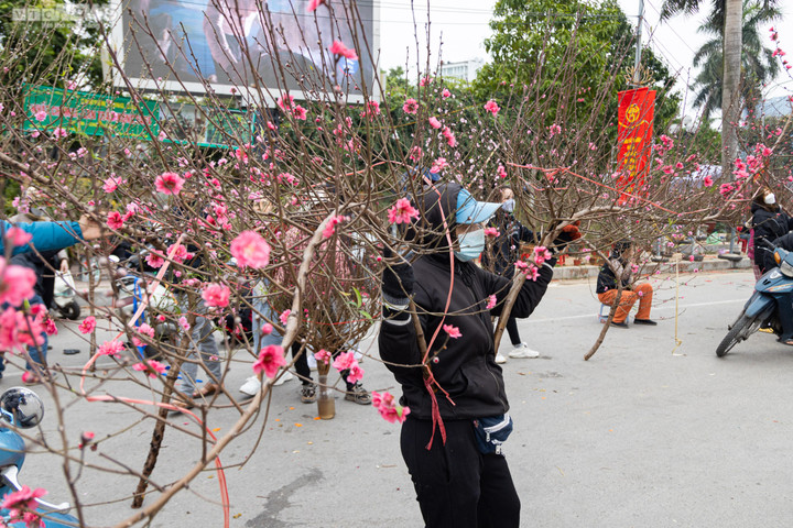 Hà Nội: Khách đổ xô đi mua đào, chợ hoa Lạc Long Quân chật kín chiều 27 Tết - 10
