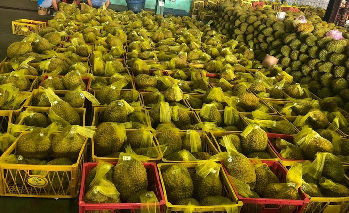 Doanh nghiệp tự tin với kế hoạch xuất khẩu đầu năm mới - 1