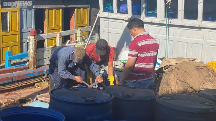 Ngư dân Phú Yên, Khánh Hòa đón Tết giữa trùng khơi - 1