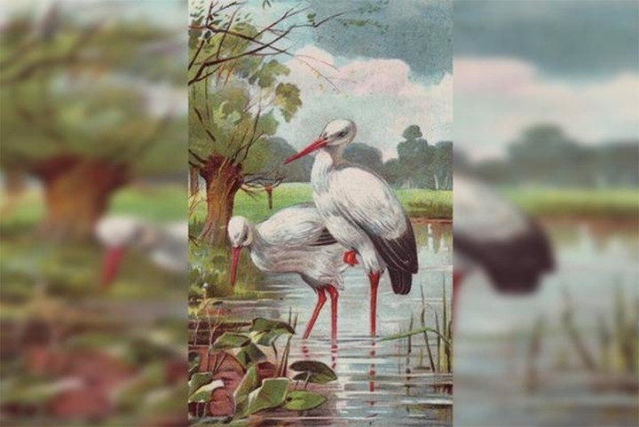 Hầu hết mọi người không nhìn thấy cậu bé trong hình, còn bạn? - 1