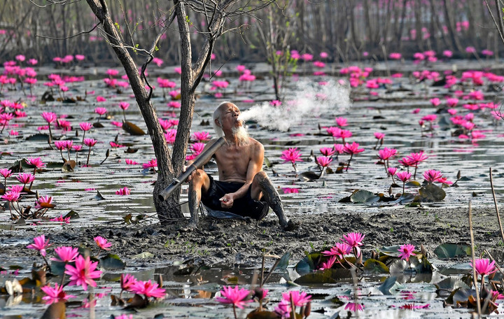 Nhiếp ảnh gia Nick Út: ‘Tôi yêu Hà Nội đến từng hơi thở’ - 3
