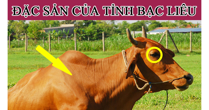 Đây là đặc sản nào của Bạc Liêu? - 1