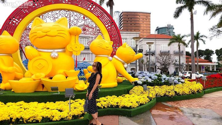 Dòng người đổ về đường hoa xuân Đà Nẵng chụp ảnh ngày 30 Tết - 5