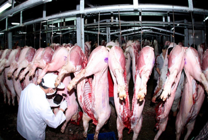 Giá heo hơi hôm nay 23/1: Tiếp tục ổn định trong ngày thứ 2 Tết Nguyên đán - 2