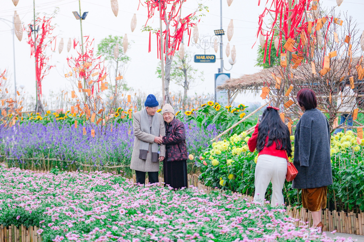 Cùng người Hà Nội du xuân trẩy hội tại đường hoa Home Hanoi Xuan 2023 - 6