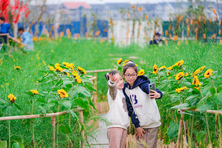 Cùng người Hà Nội du xuân trẩy hội tại đường hoa Home Hanoi Xuan 2023 - 8