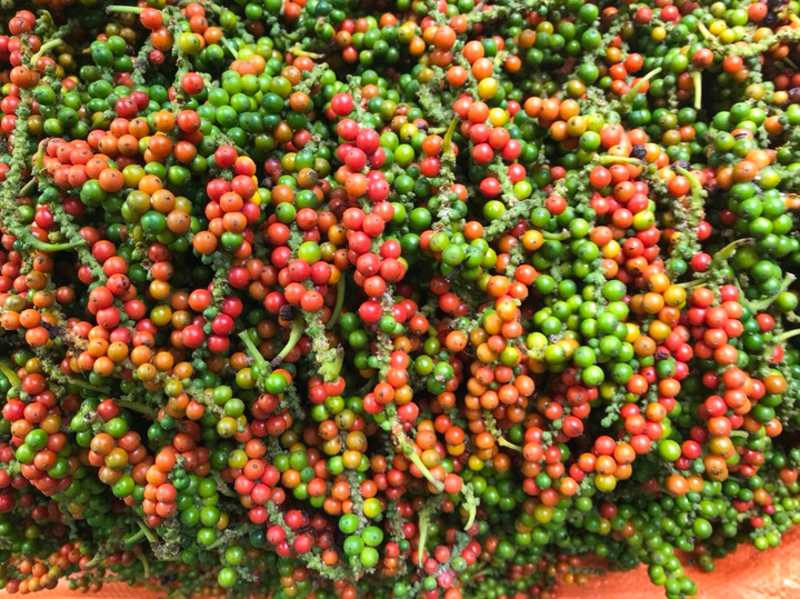 Giá tiêu hôm nay 27/1: Không có biến động, cao nhất 58.500 đồng/kg - 1