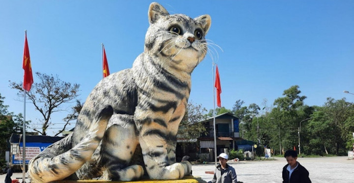 Quảng Trị tính đấu giá linh vật 'hoa hậu mèo' để gây quỹ - 1