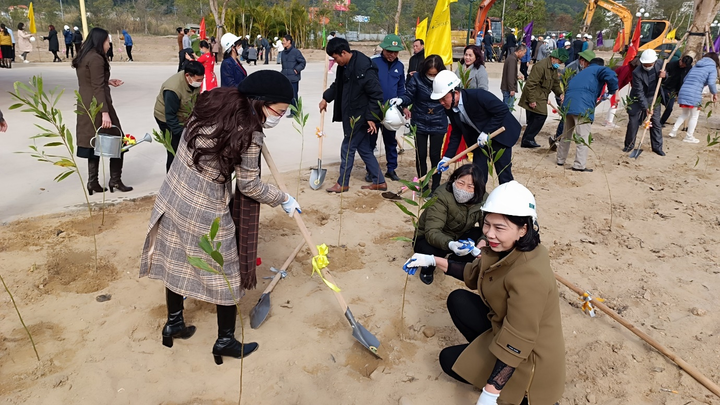 Khu đô thị Halong Marina trồng 500 cây xanh hưởng ứng Tết trồng cây - 5