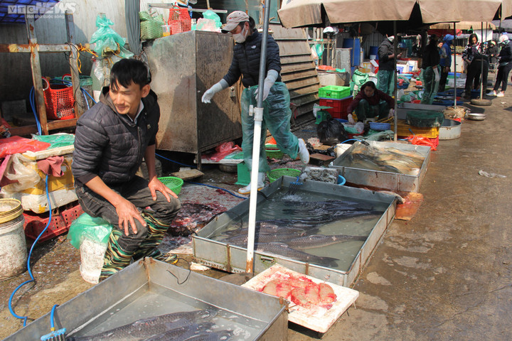 Sức mua yếu, hàng hoá thực phẩm sau Tết giảm giá từ 20- 50% - 2