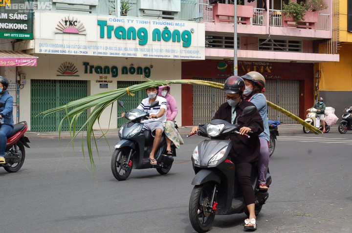 TP.HCM: Mía thân vàng đắt khách ngày cúng vía Ngọc Hoàng - 9