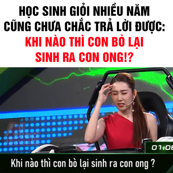 Đố mẹo: Khi nào thì con bò sinh ra con ong? - 1