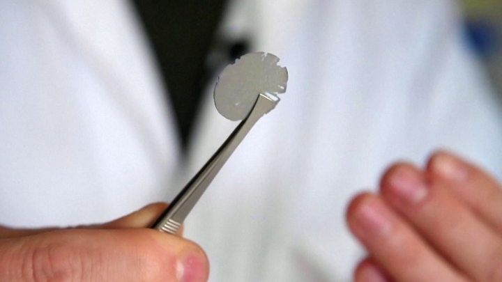 ‘Lá nhân tạo’ sản xuất năng lượng từ không khí và ánh nắng - 1