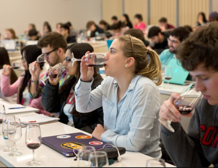 Các chuyên ngành đại học độc lạ: Nấu rượu, dự đoán tương lai - 2