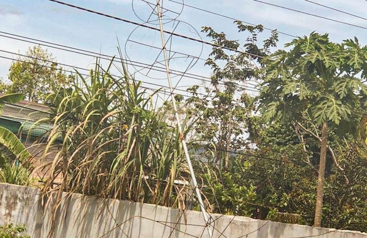 Tháo dỡ cây thông Noel, 6 người ở Lâm Đồng bị điện giật thương vong - 1