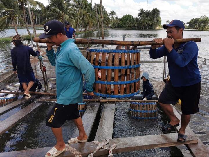 'Cá tỷ USD' của Việt Nam ngóng đơn từ Trung Quốc và Mỹ - 2