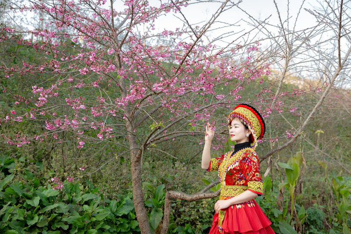 Du khách đổ về Sun World Fansipan Legend ngắm hoa, dự hội xuân - 1