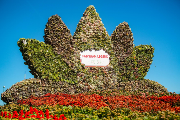 Du khách đổ về Sun World Fansipan Legend ngắm hoa, dự hội xuân - 4