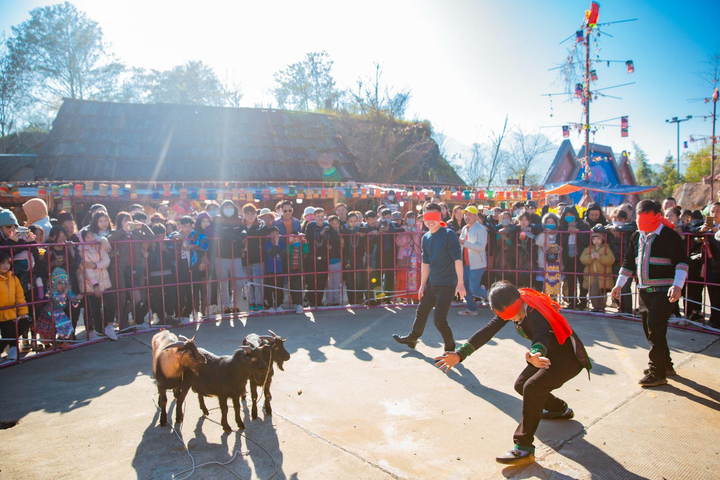 Du khách đổ về Sun World Fansipan Legend ngắm hoa, dự hội xuân - 6