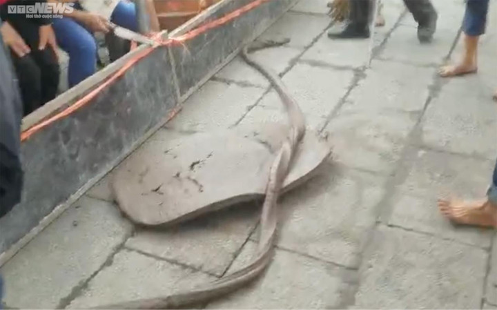 Hơn 200 pháo thủ ở Hải Dương tay lấm lem, ném pháo đất nổ như sấm - 8