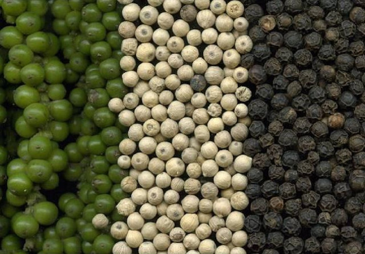 Giá tiêu hôm nay 9/2: Ổn định sau phiên tăng mạnh - 1