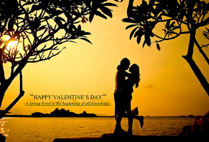 Lời chúc Valentine cho người yêu ở xa - 2