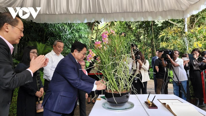 Thủ tướng và phu nhân dâng hoa tại Tượng đài Chủ tịch Hồ Chí Minh ở Singapore - 5