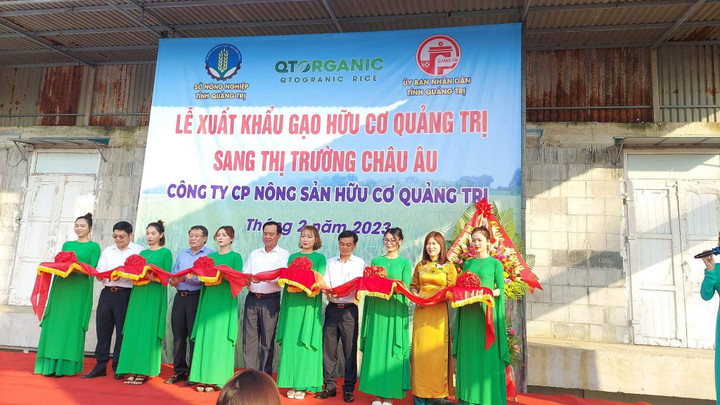 Gạo hữu cơ Quảng Trị lên đường chinh phục trời Âu - 2