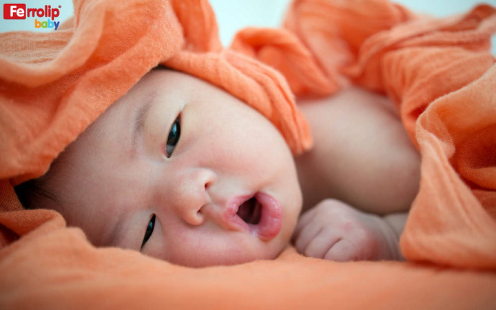 Chuyên gia giải đáp 'Có nên bổ sung sắt cho trẻ sơ sinh' - 1