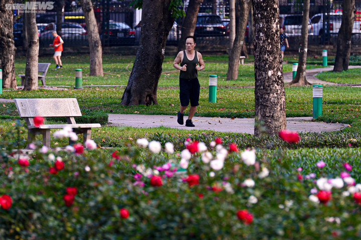 Dự báo thời tiết ngày 16/2: Nhiệt độ Hà Nội tăng nhẹ, gió Đông Bắc giật cấp 3 - 1