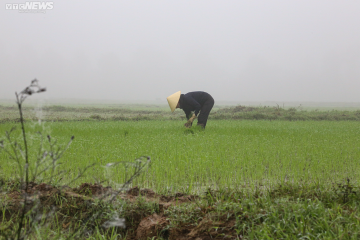 Sương mù dày đặc, Thành phố Hà Tĩnh mờ ảo như Sapa - 9