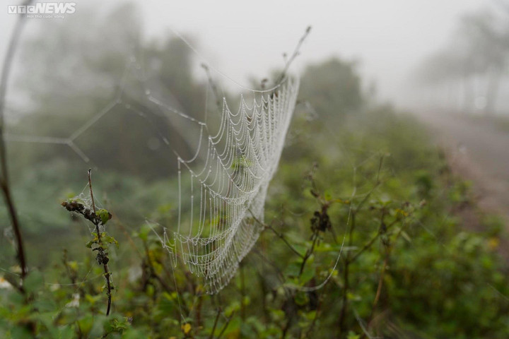 Sương mù dày đặc, Thành phố Hà Tĩnh mờ ảo như Sapa - 11