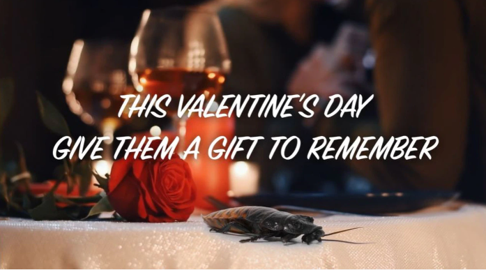 Cười lăn với những trò trả đũa người yêu cũ dịp Valentine - 1