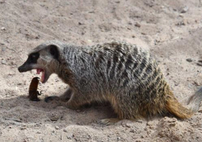 Cười lăn với những trò trả đũa người yêu cũ dịp Valentine - 2