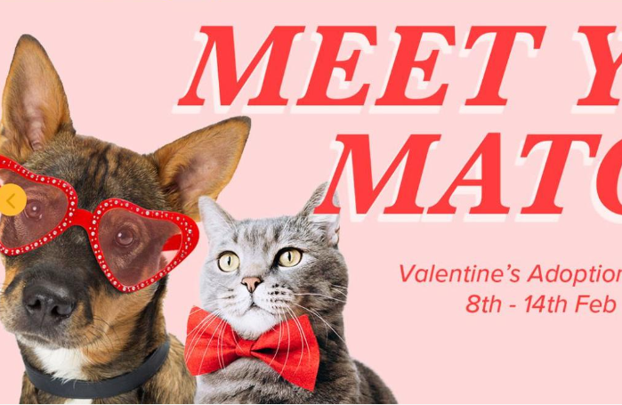 Cười lăn với những trò trả đũa người yêu cũ dịp Valentine - 5