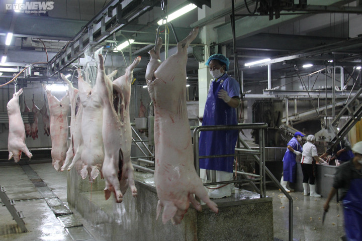 Giá heo hơi hôm nay 15/2: Giảm rải rác ở một vài địa phương - 2