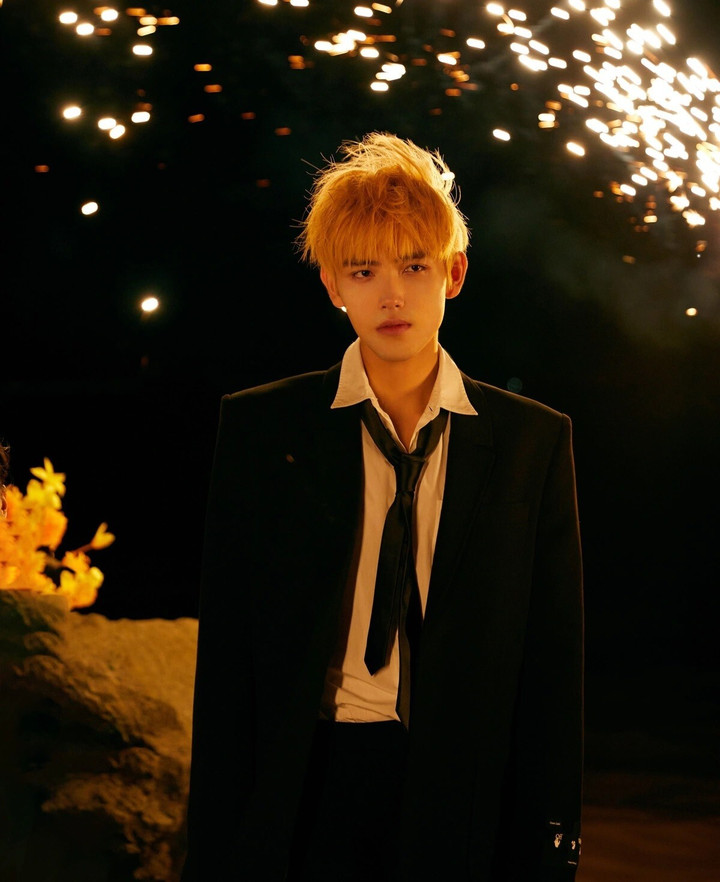 Người mẹ mỹ nhân quyền lực của Trần Phi Vũ và vết nhơ ‘tiểu tam giật chồng’ - 7