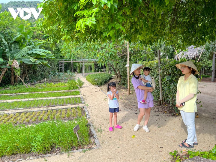 Đến resort 5 sao trải nghiệm trồng rau, nuôi gà - 1