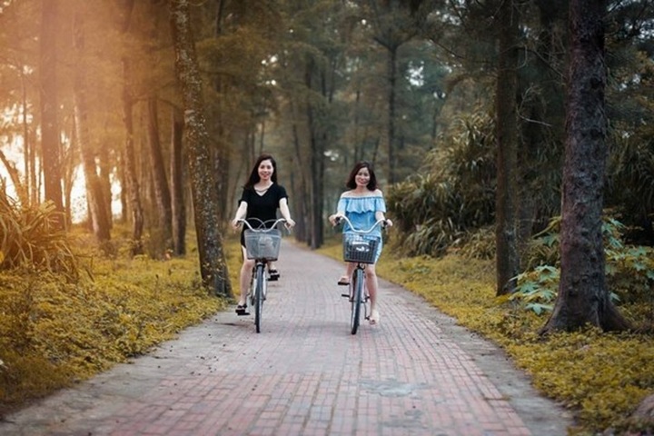 Kinh nghiệm du lịch Cô Tô: Cần lưu ý những gì? - 2