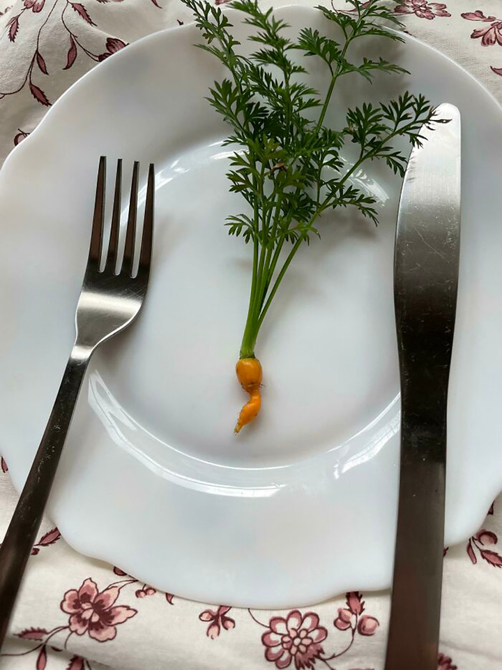 Loạt ảnh chứng minh không phải ai cũng có thể 'về quê nuôi cá và trồng thêm rau' - 4