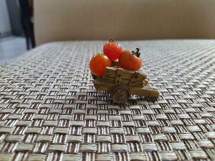 Loạt ảnh chứng minh không phải ai cũng có thể 'về quê nuôi cá và trồng thêm rau' - 8