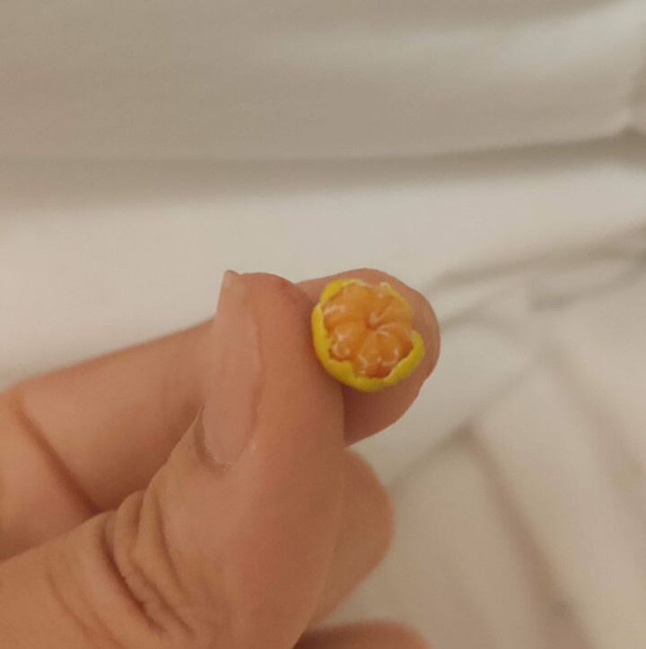 Loạt ảnh chứng minh không phải ai cũng có thể 'về quê nuôi cá và trồng thêm rau' - 6