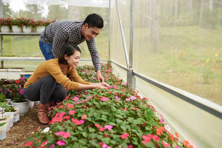 Đến resort 5 sao trải nghiệm trồng rau, nuôi gà - 2