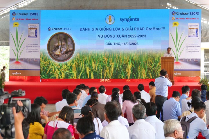 Incipio 200SC - Giải pháp đột phá tính kháng của sâu hại - 1