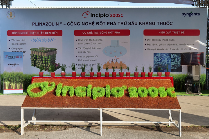Incipio 200SC - Giải pháp đột phá tính kháng của sâu hại - 4