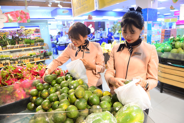 Saigon Co.op chung tay tiêu thụ cam sành Vĩnh Long - 1