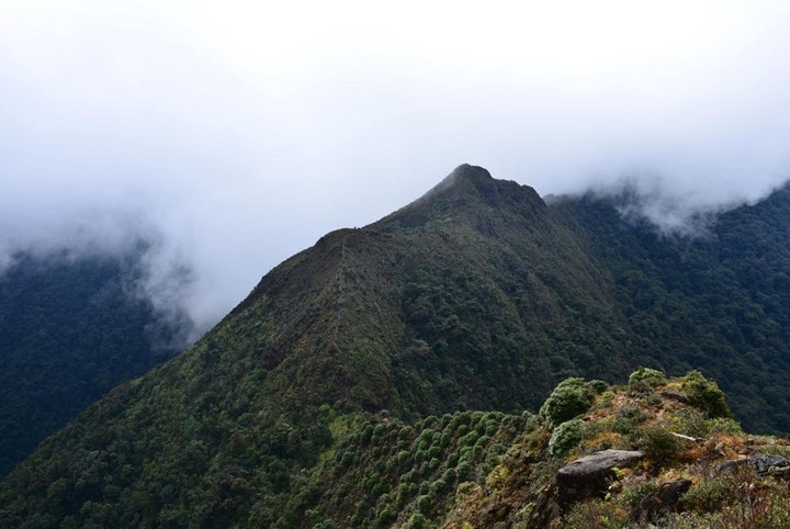 Kinh nghiệm đi Tà Xùa: Bí kíp săn mây không thể bỏ qua - 3