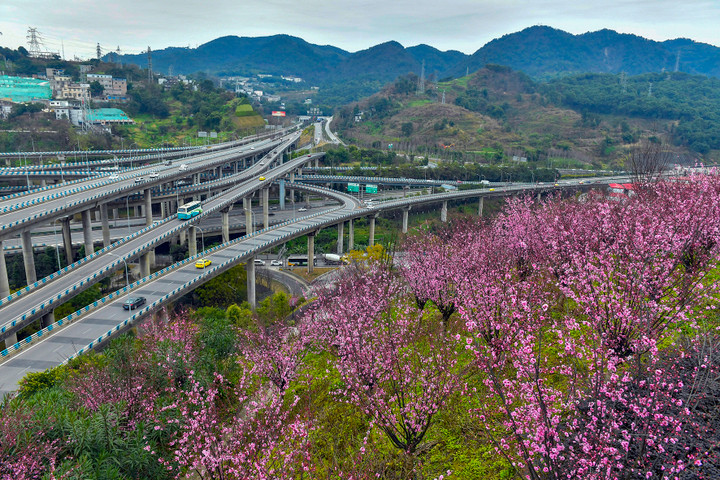 Cận cảnh hệ thống giao lộ ‘phức tạp nhất thế giới’ ở Trung Quốc - 5