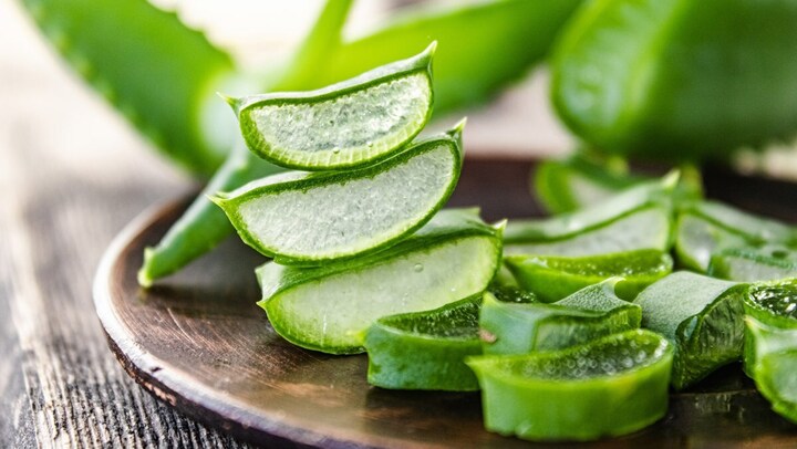 Sử dụng nha đam hàng ngày có tốt không? - 1
