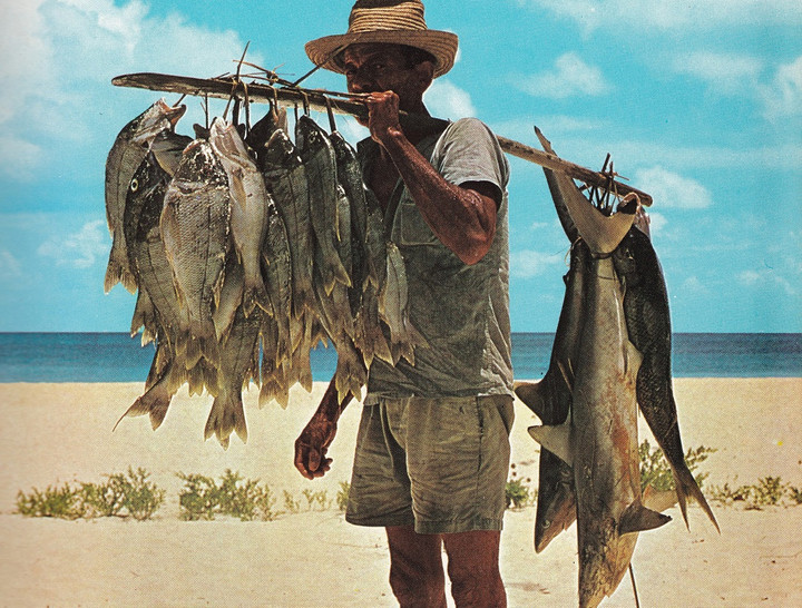 Con gì làm hao mòn của cải của ngư dân? - 1